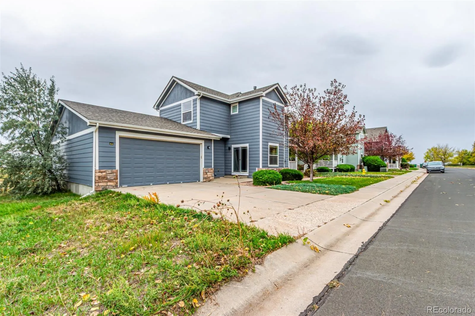 Sunflower Meadows at Bromley Park