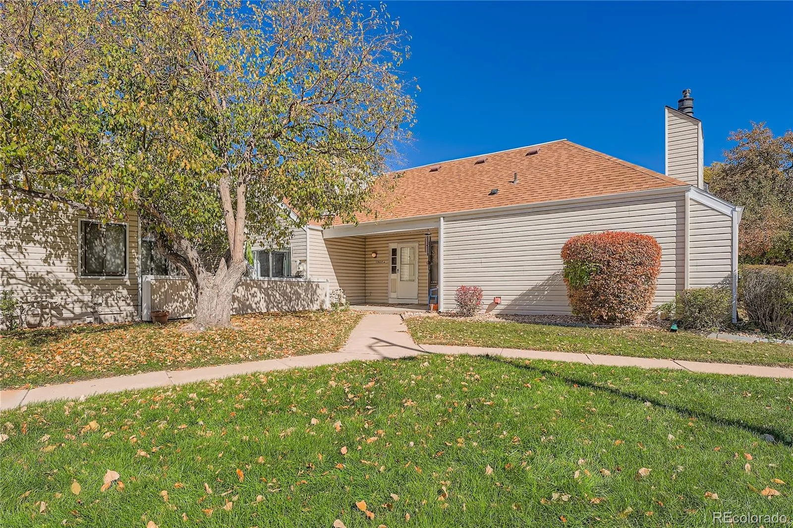 Strawberry at Heather Ridge