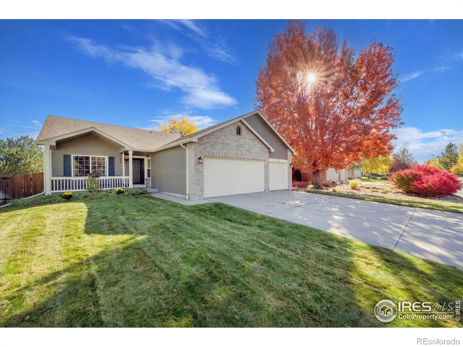 Melody At Meadow Sweet Farm