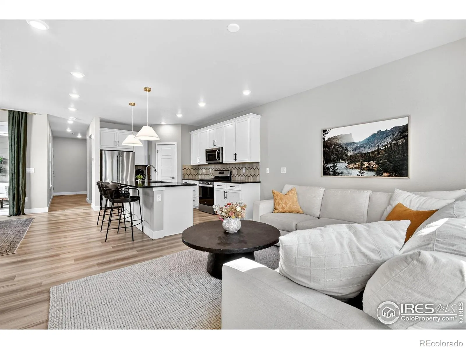 Village Of Five Parks Flg 6