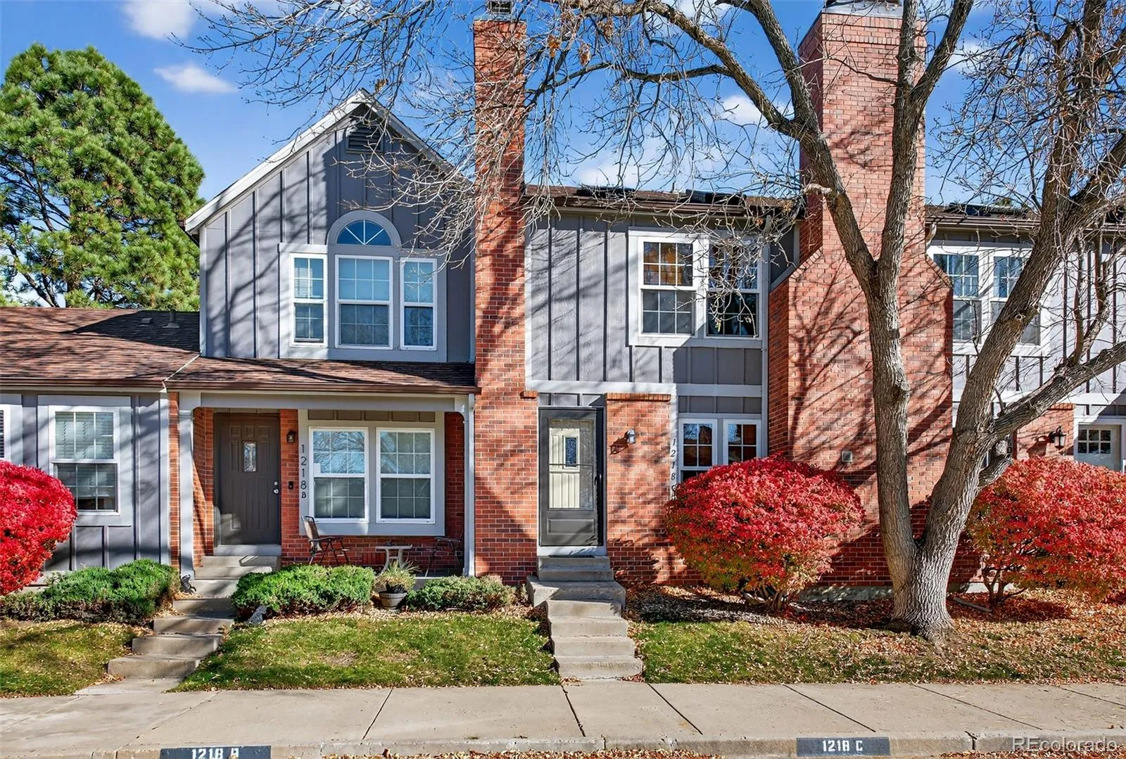 Discovery at Silver Tree