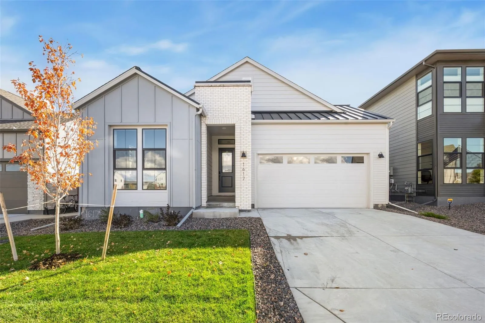 Raindance - Festival