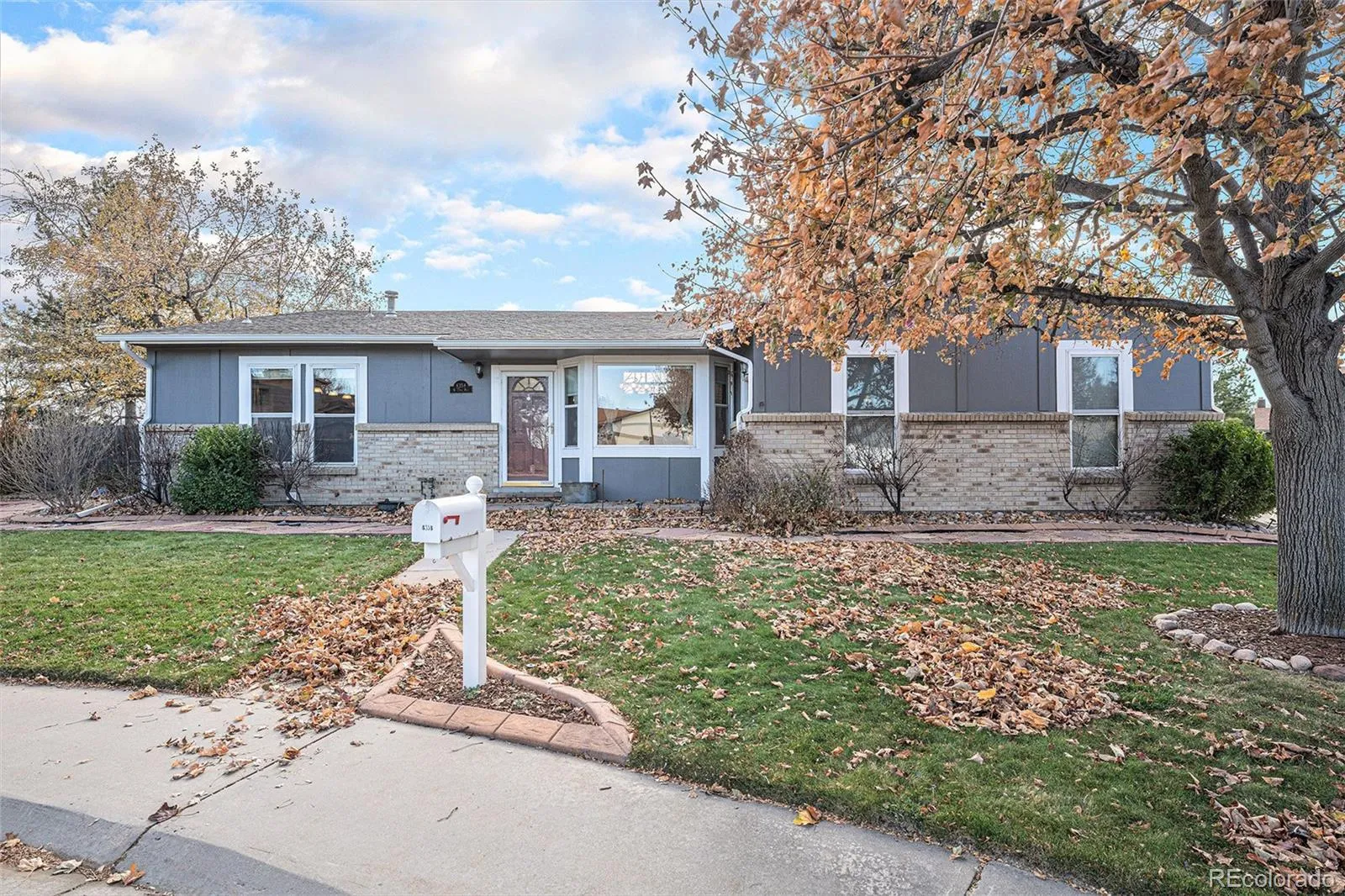 Club Crest South Flg #5