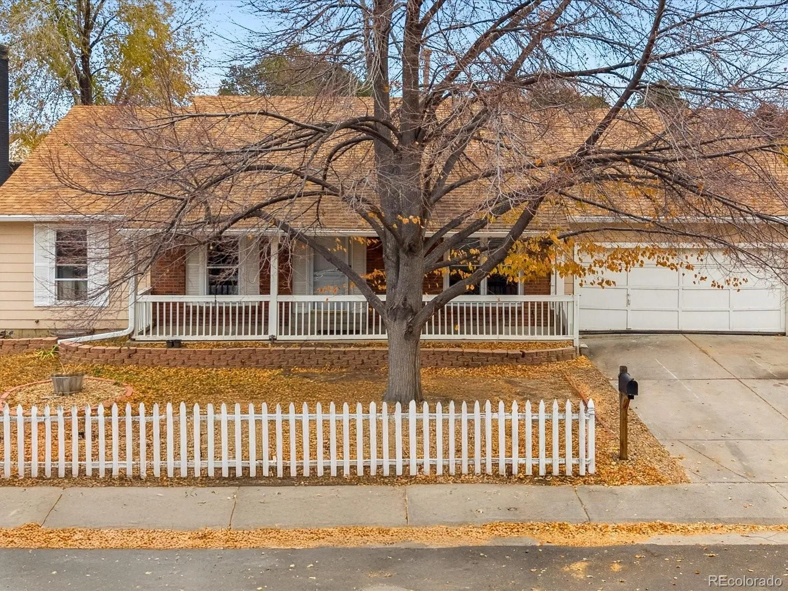 Brookvale Sub 2nd Flg