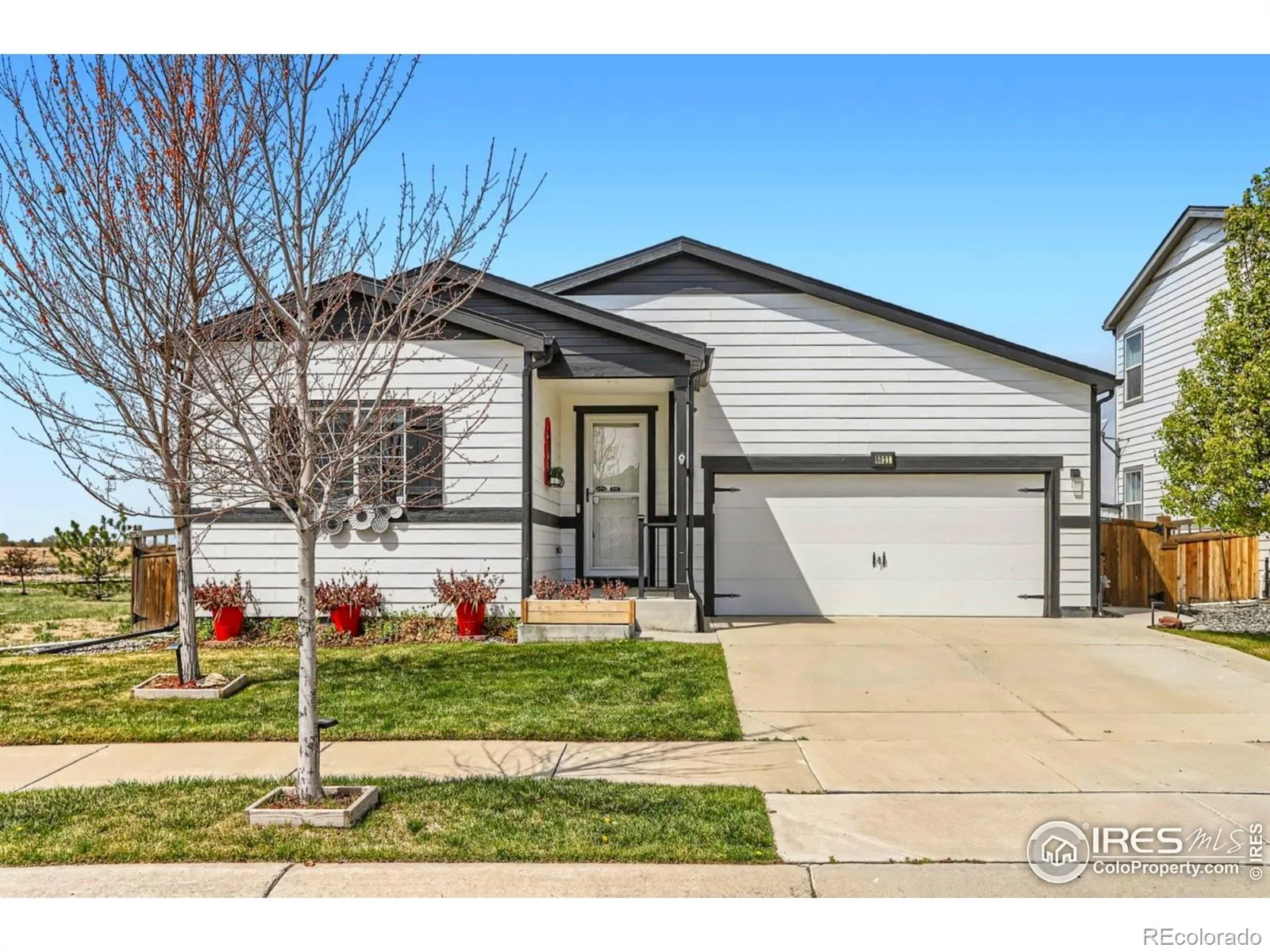 Wyndham Hill Fg 2 Rplt B