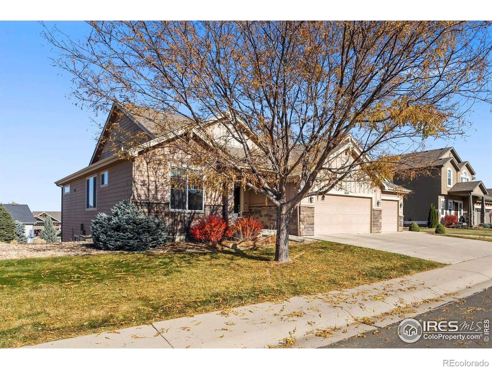 Fossil Ridge, Belmont Ridge