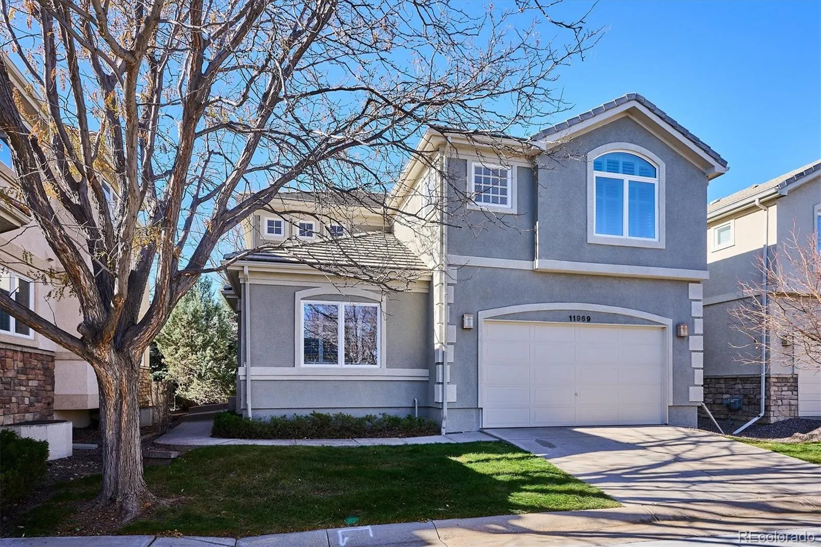 Cottonwood Grove