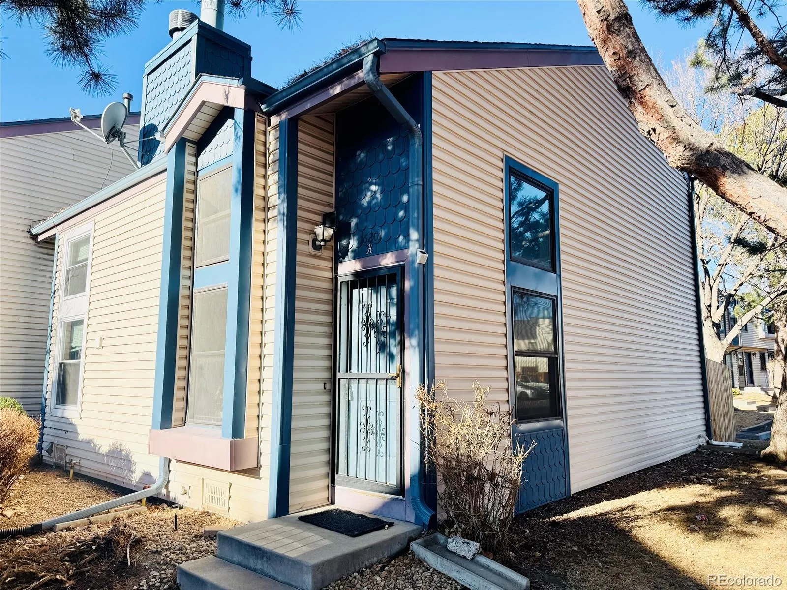 Americana Sub 1st Flg