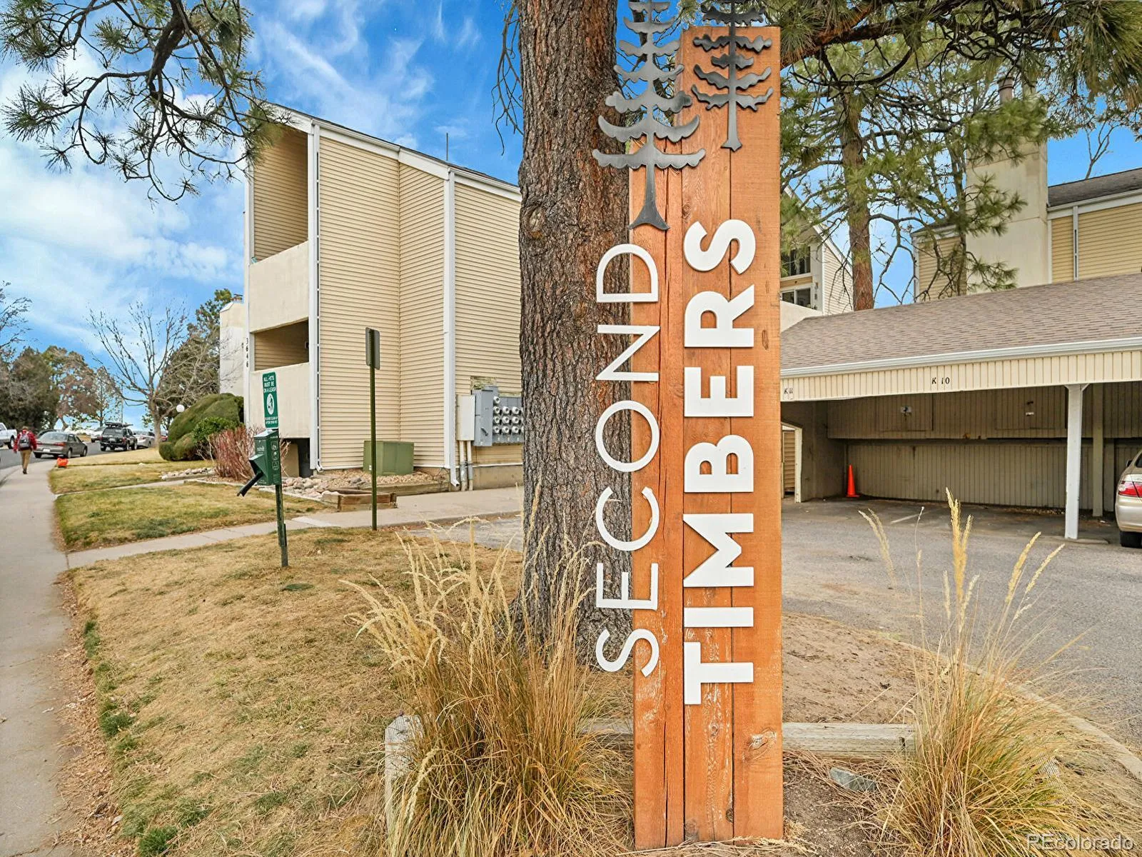 SECOND TIMBERS