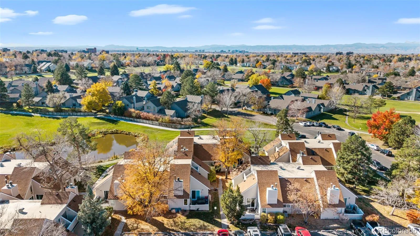 Strawberry at Heather Ridge