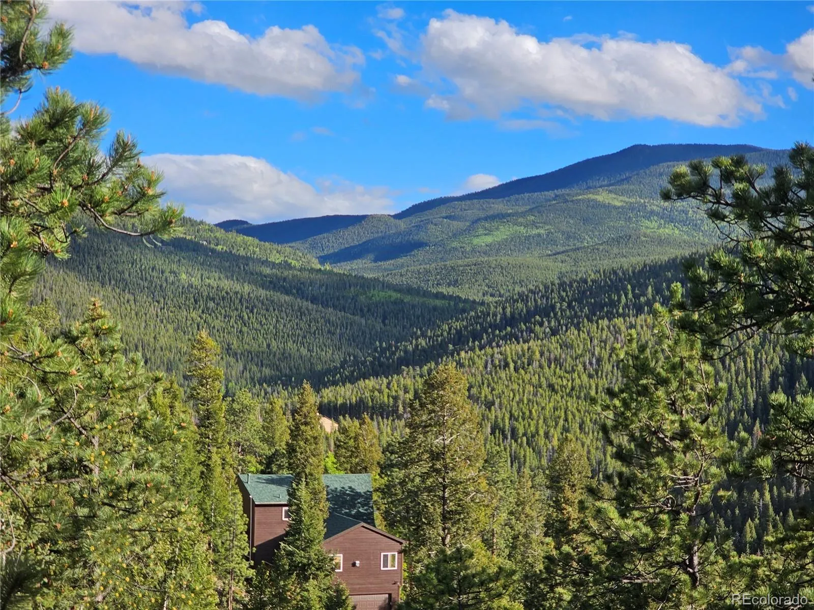 Evergreen Hills