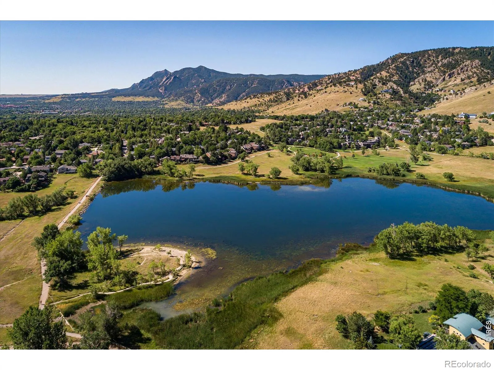 Wonderland Meadows