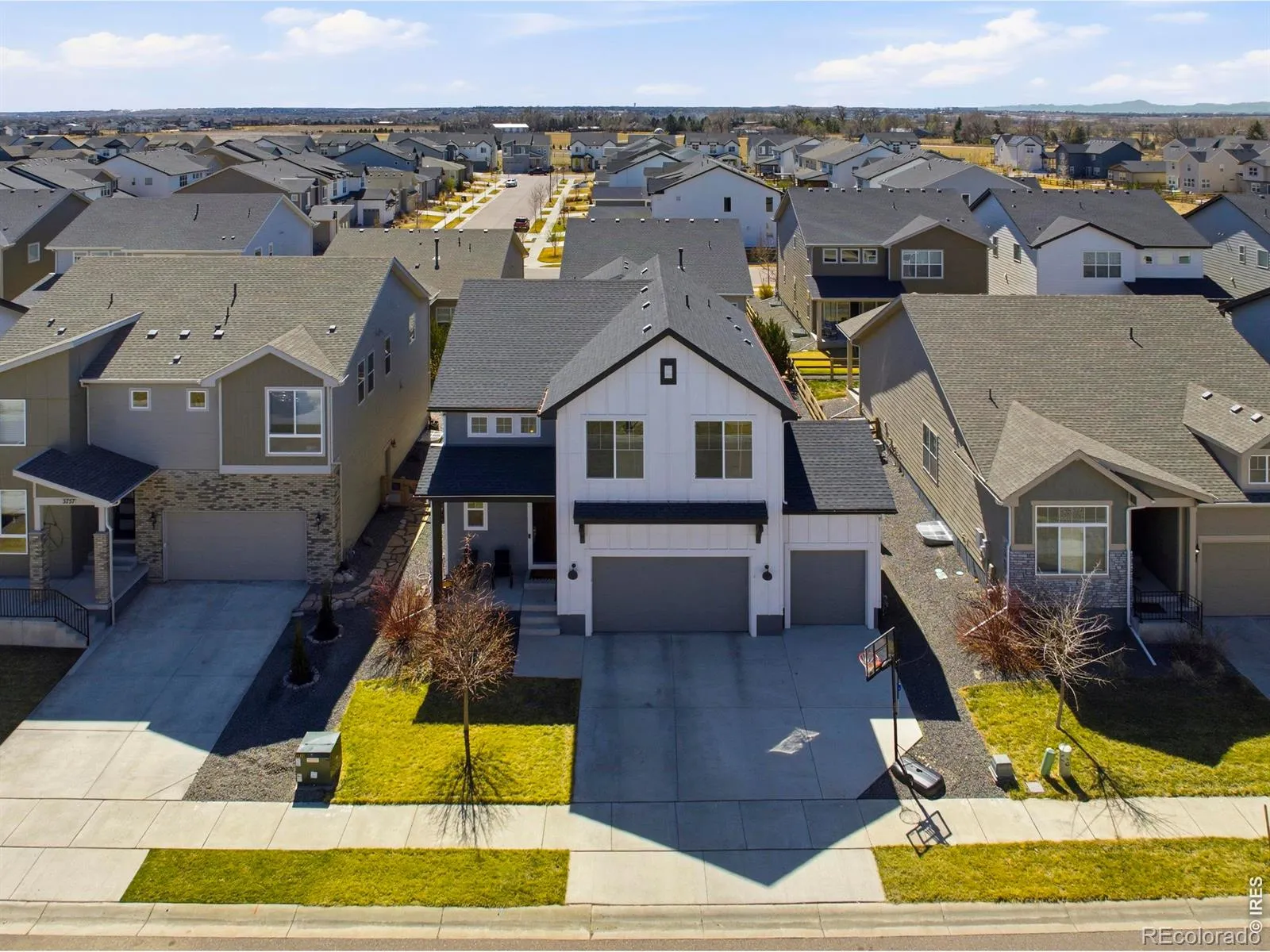 Trailside on Harmony