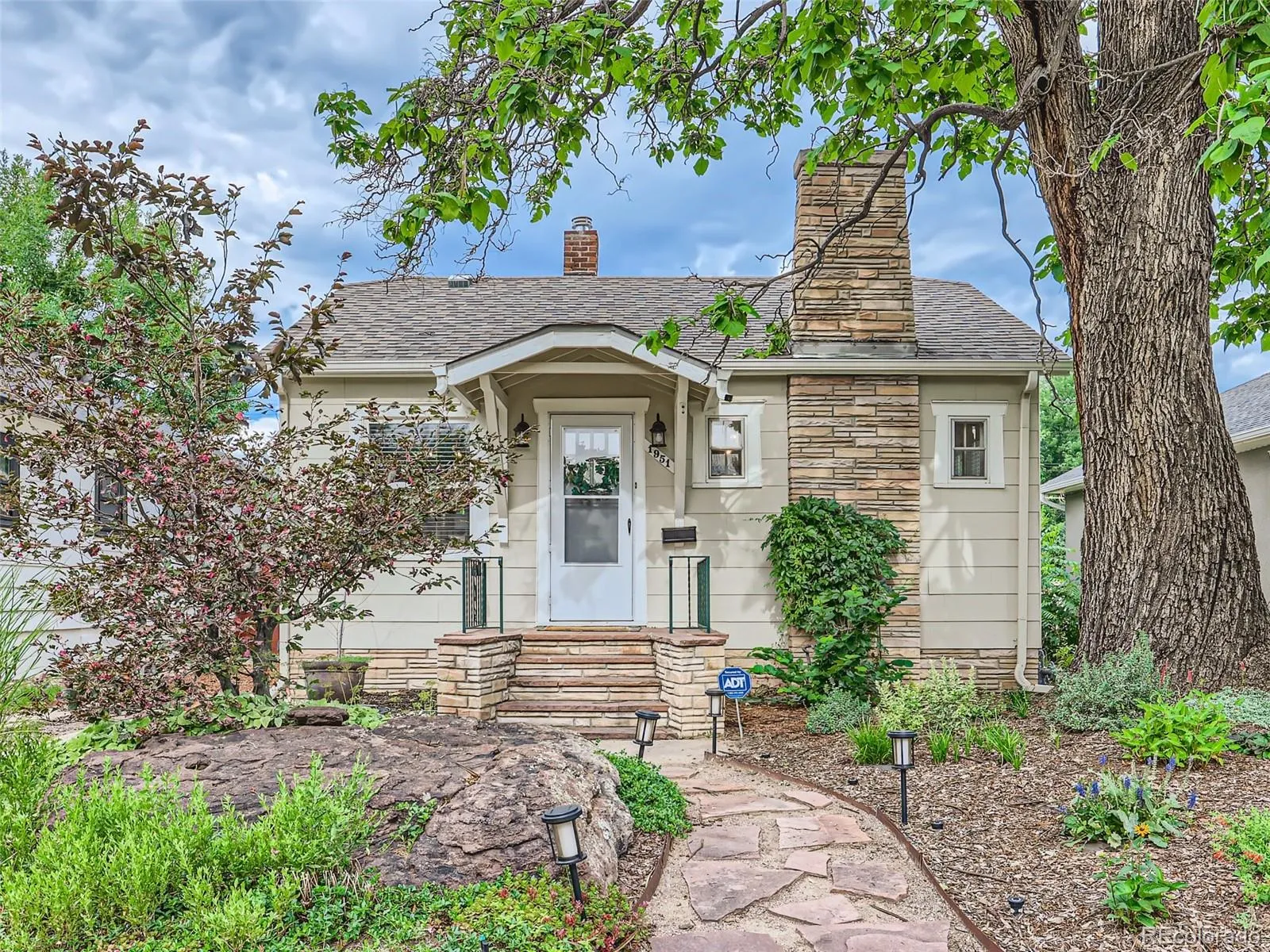 Mountain View Place