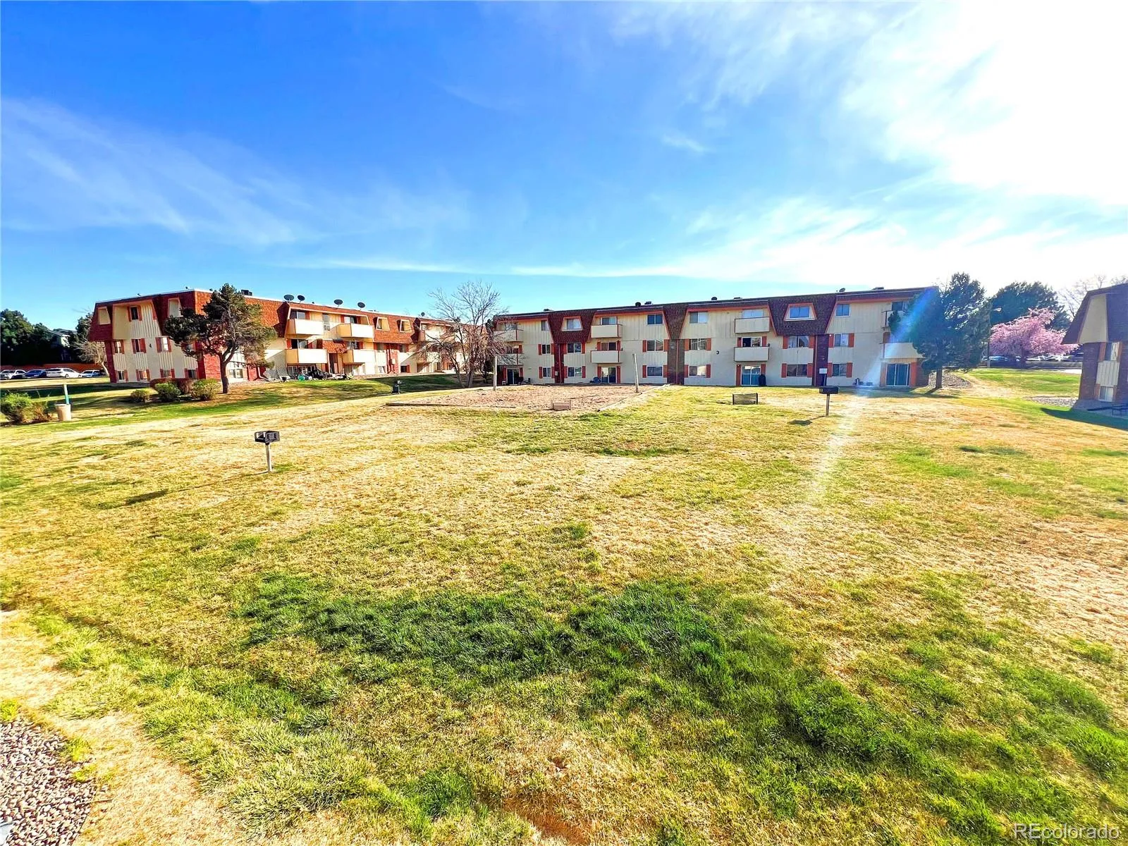 bravado condos