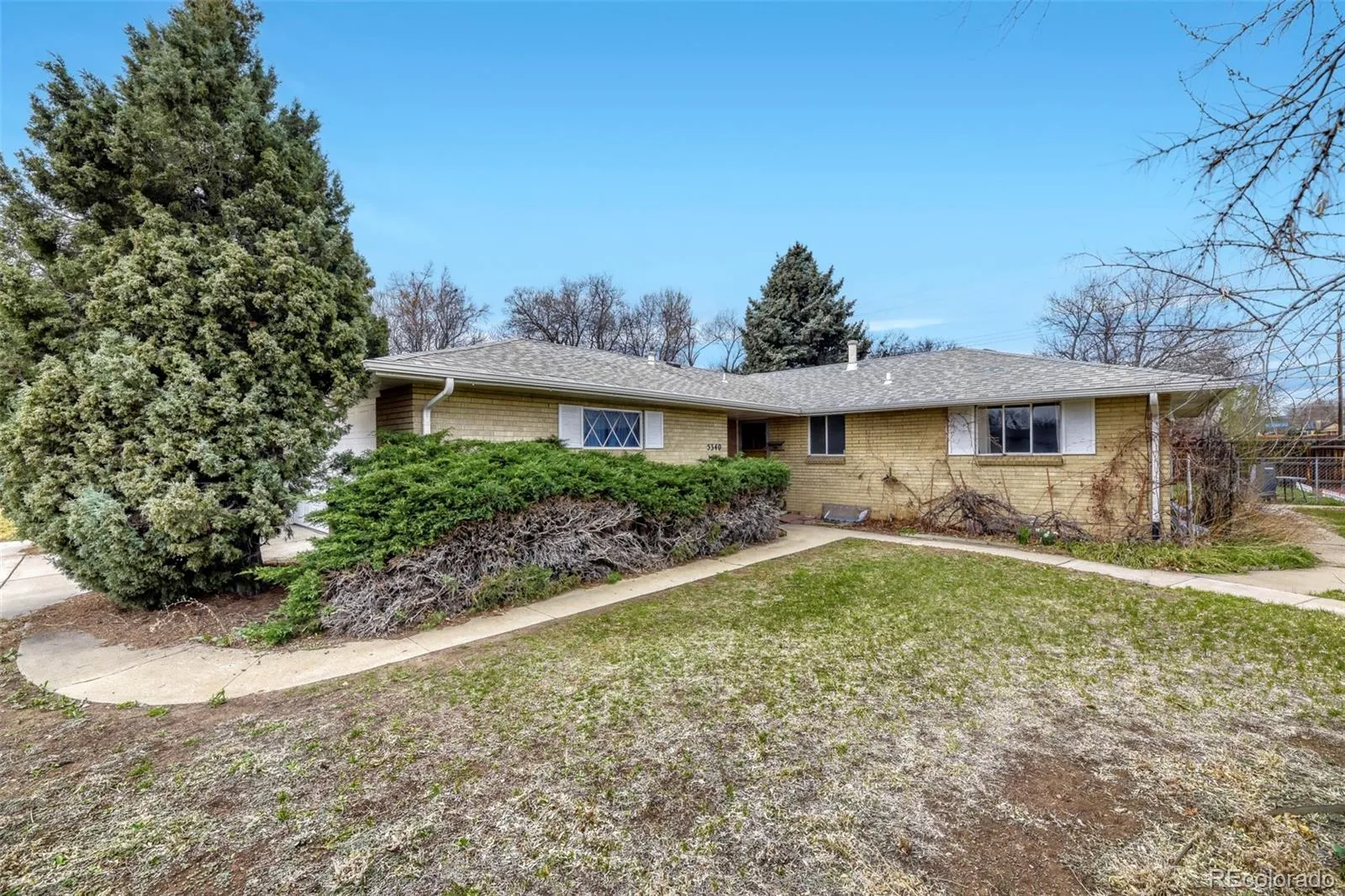 Lakewood Terrace