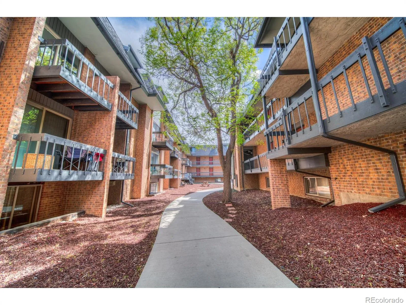 University Townhouses
