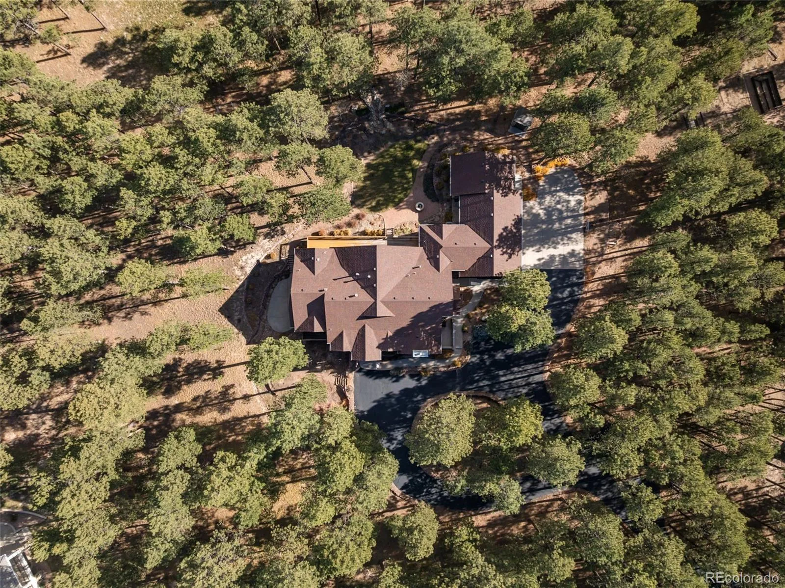 Tall Pines Ranch