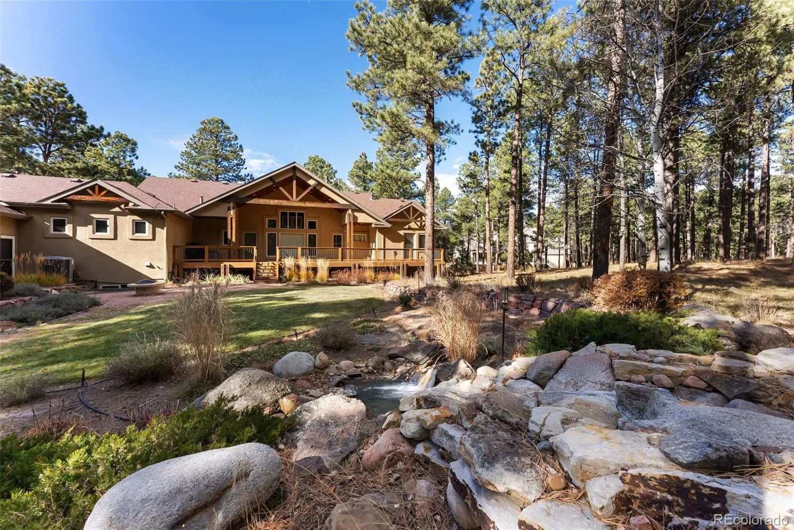 Tall Pines Ranch