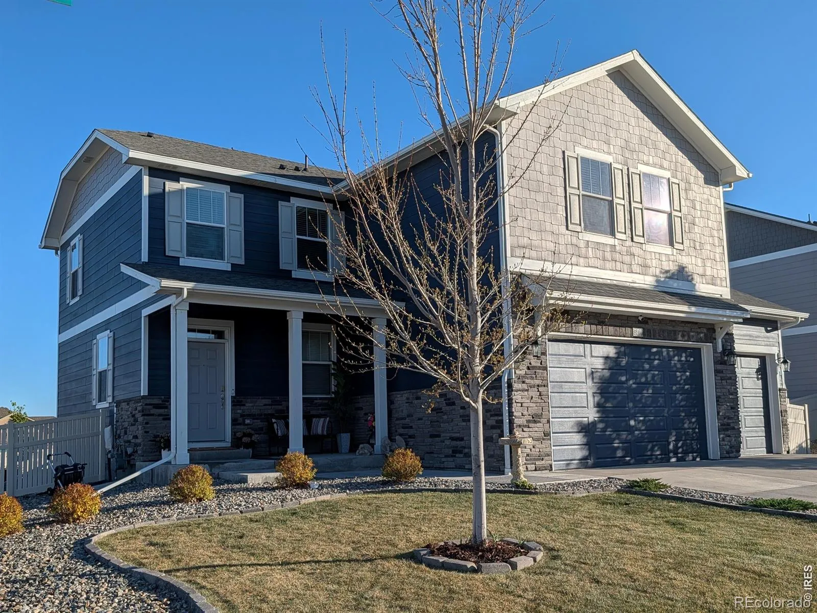 Neighbors Point Fg #6