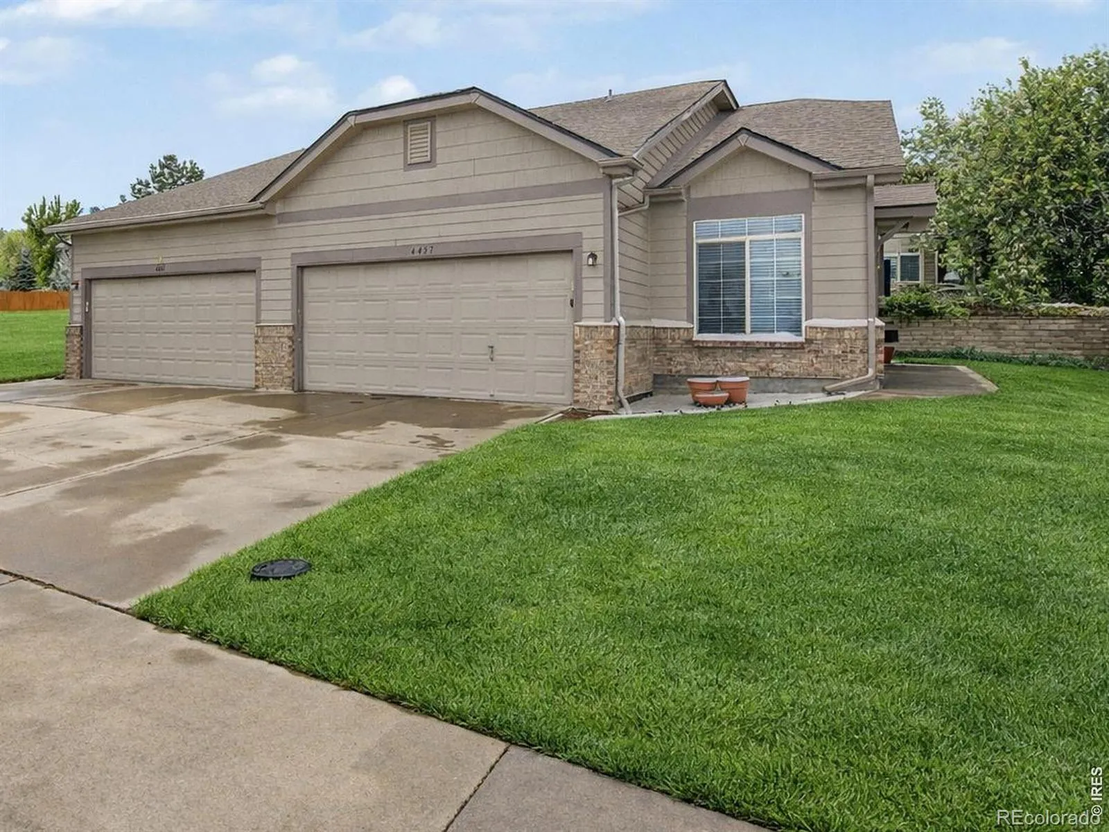 Willow Trace Sub 6th Flg