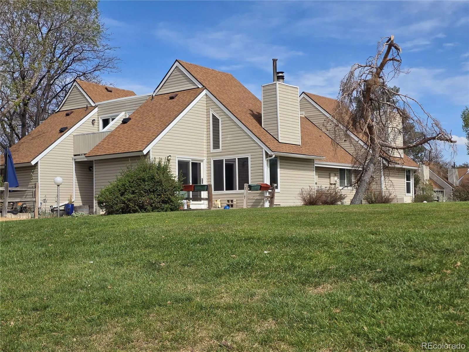 Strawberry at Heather Ridge