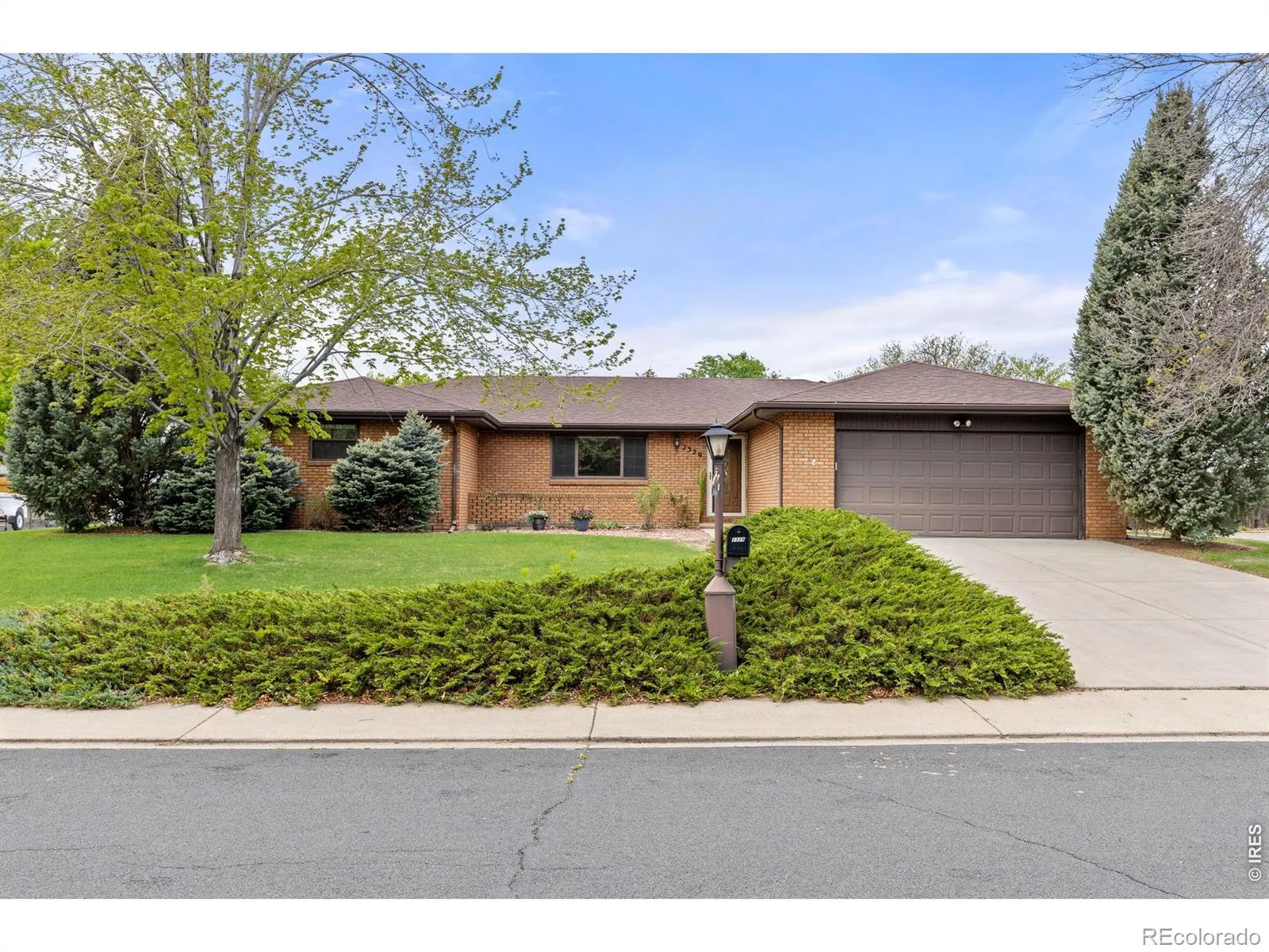 Mumford Heights 2
