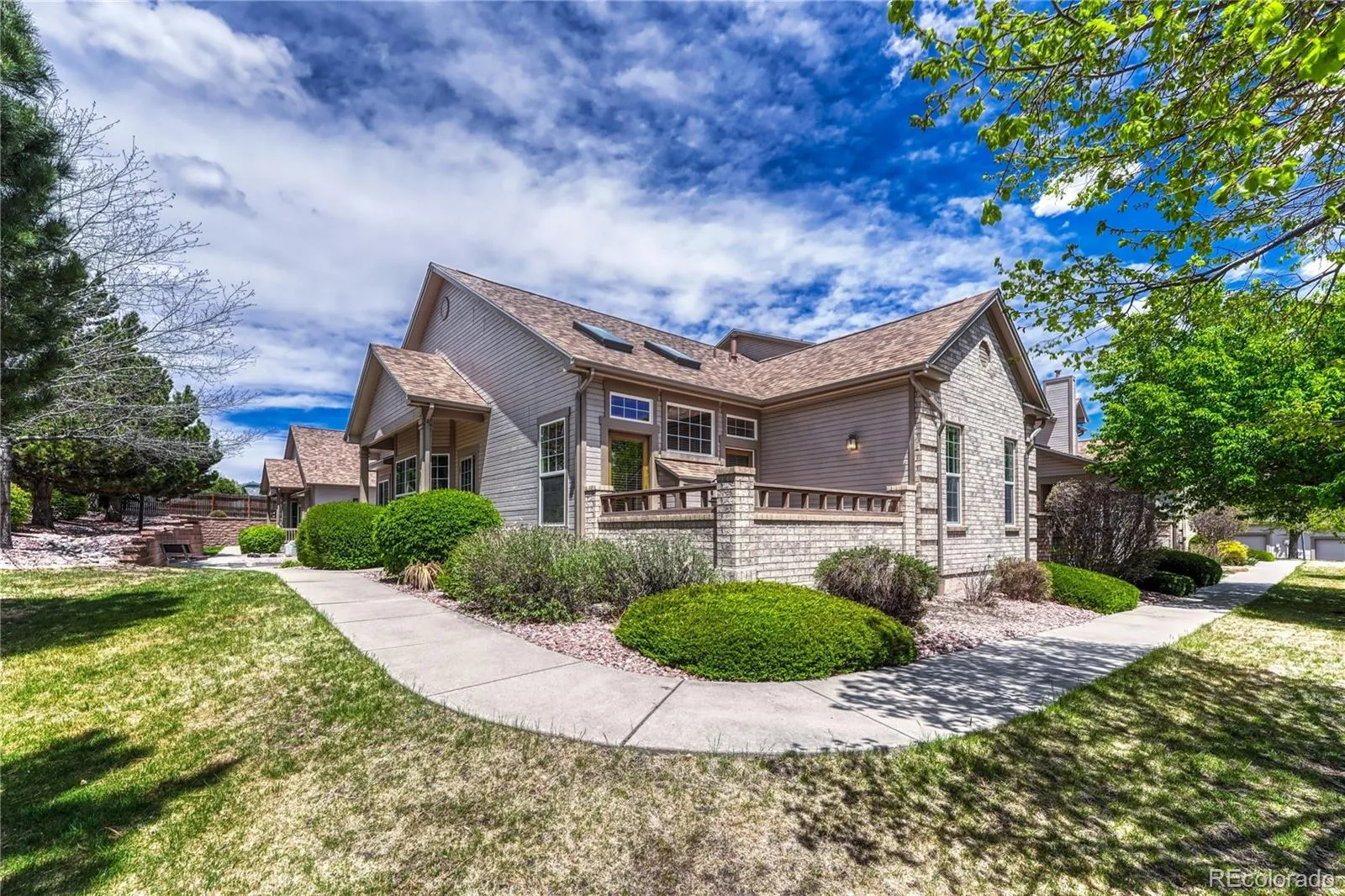 Saddleback At Newport Heights