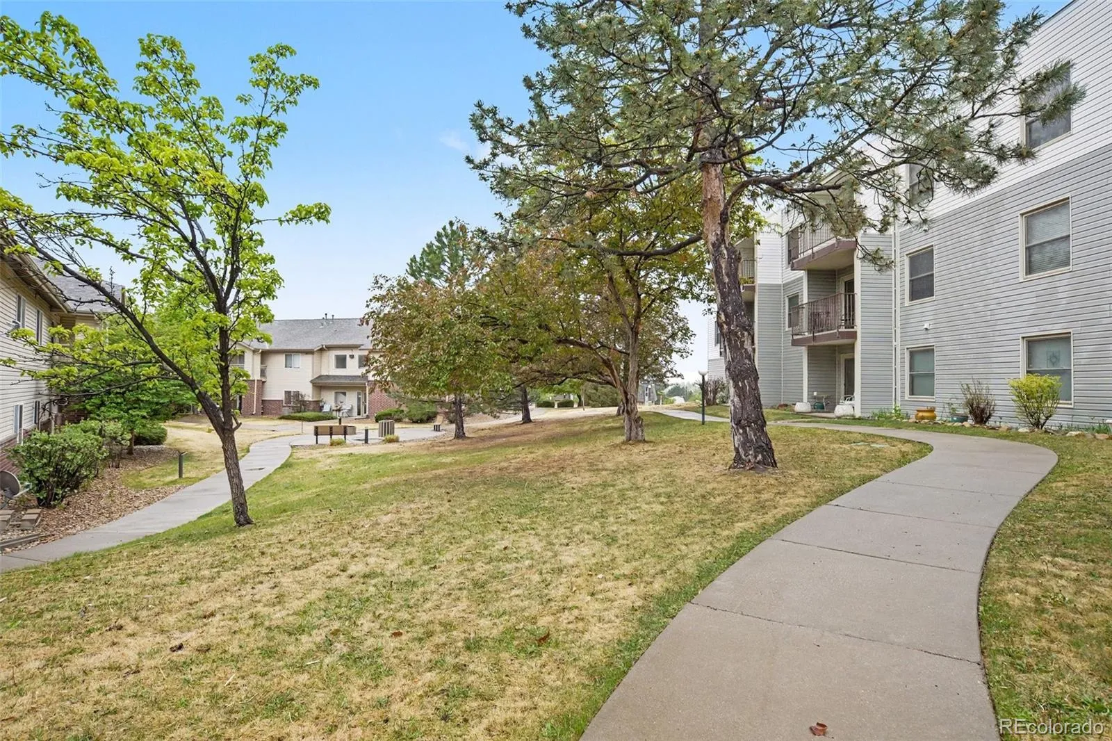 Snow Cap Ridge Condo
