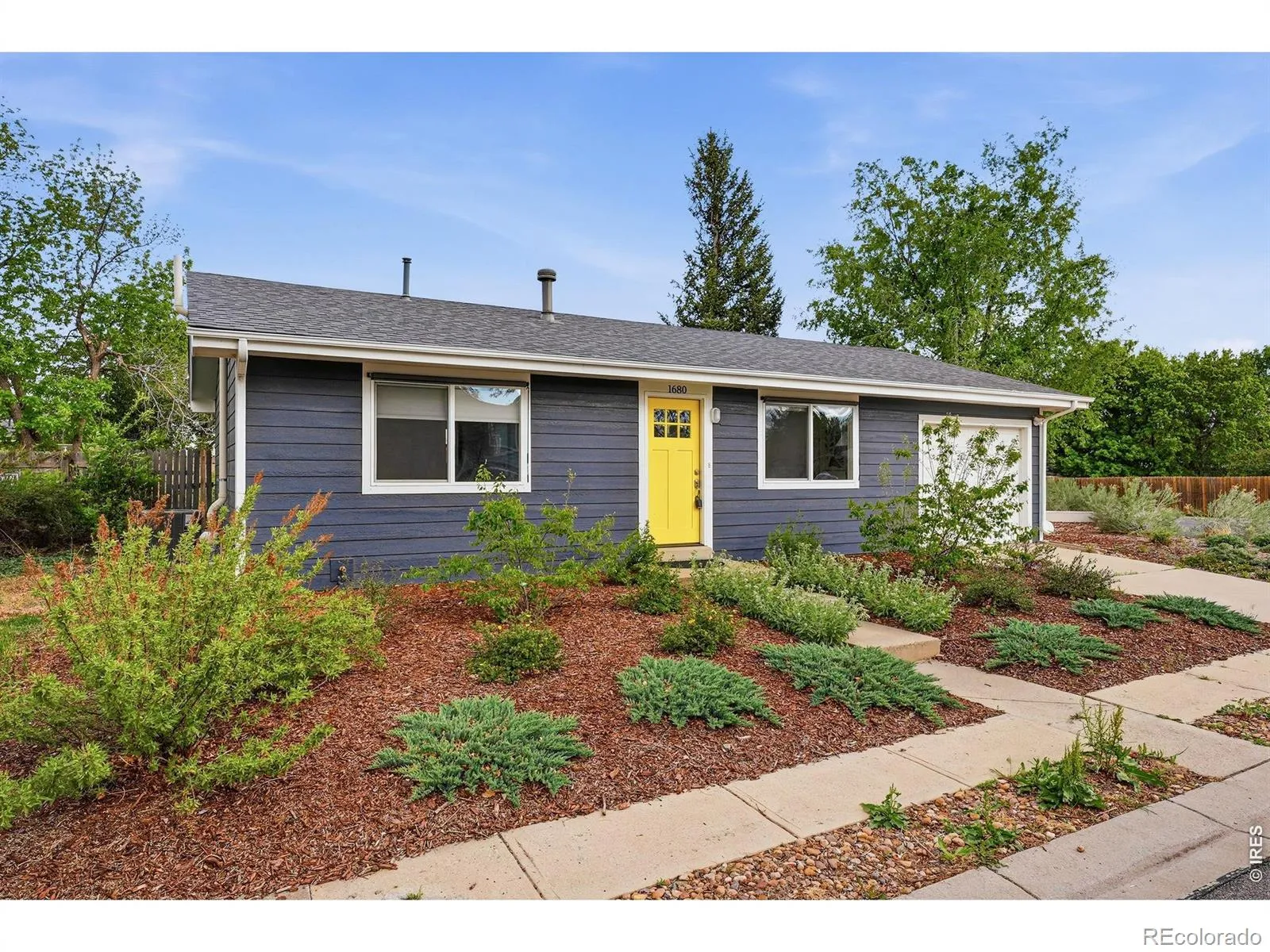 Coal Creek Meadows 2