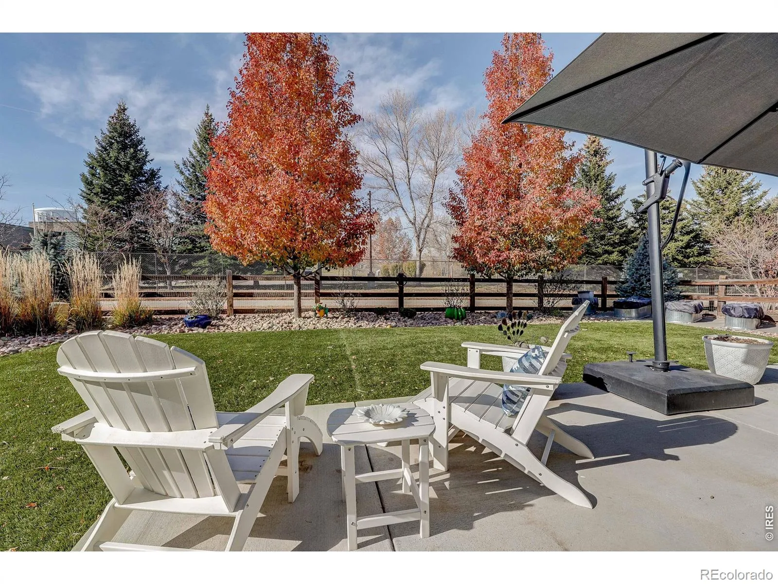 Rex Ranch Flg 1