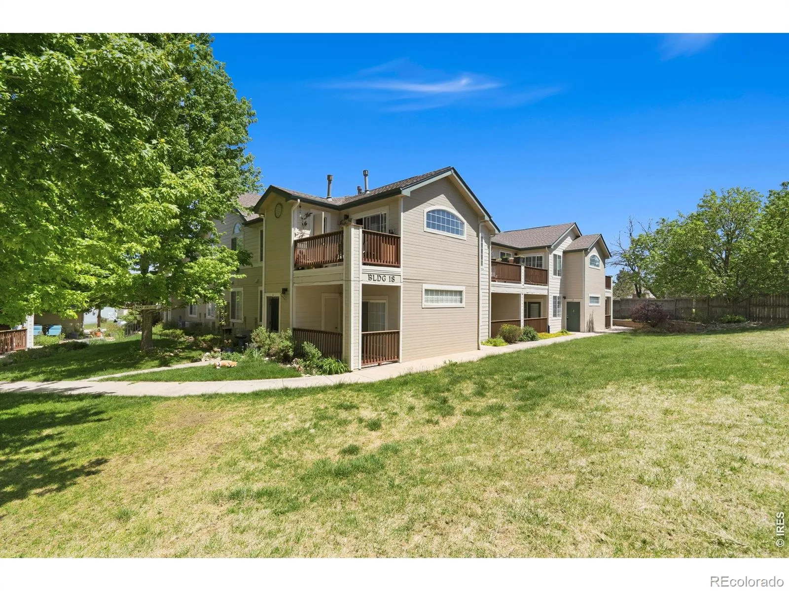 Saddle Ridge