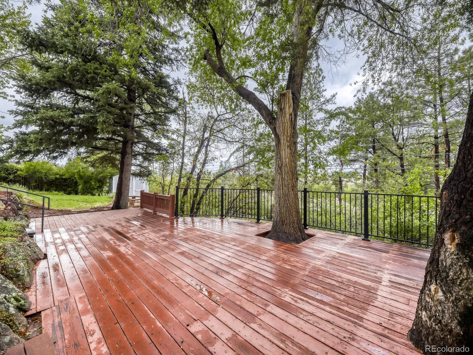 Castle Rock Heights