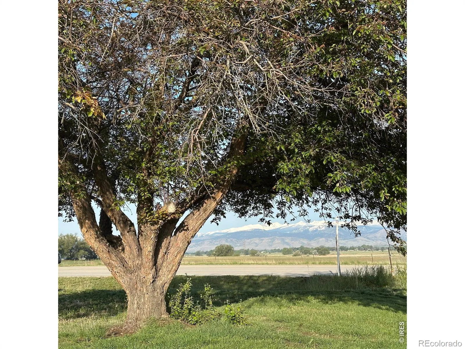 East County