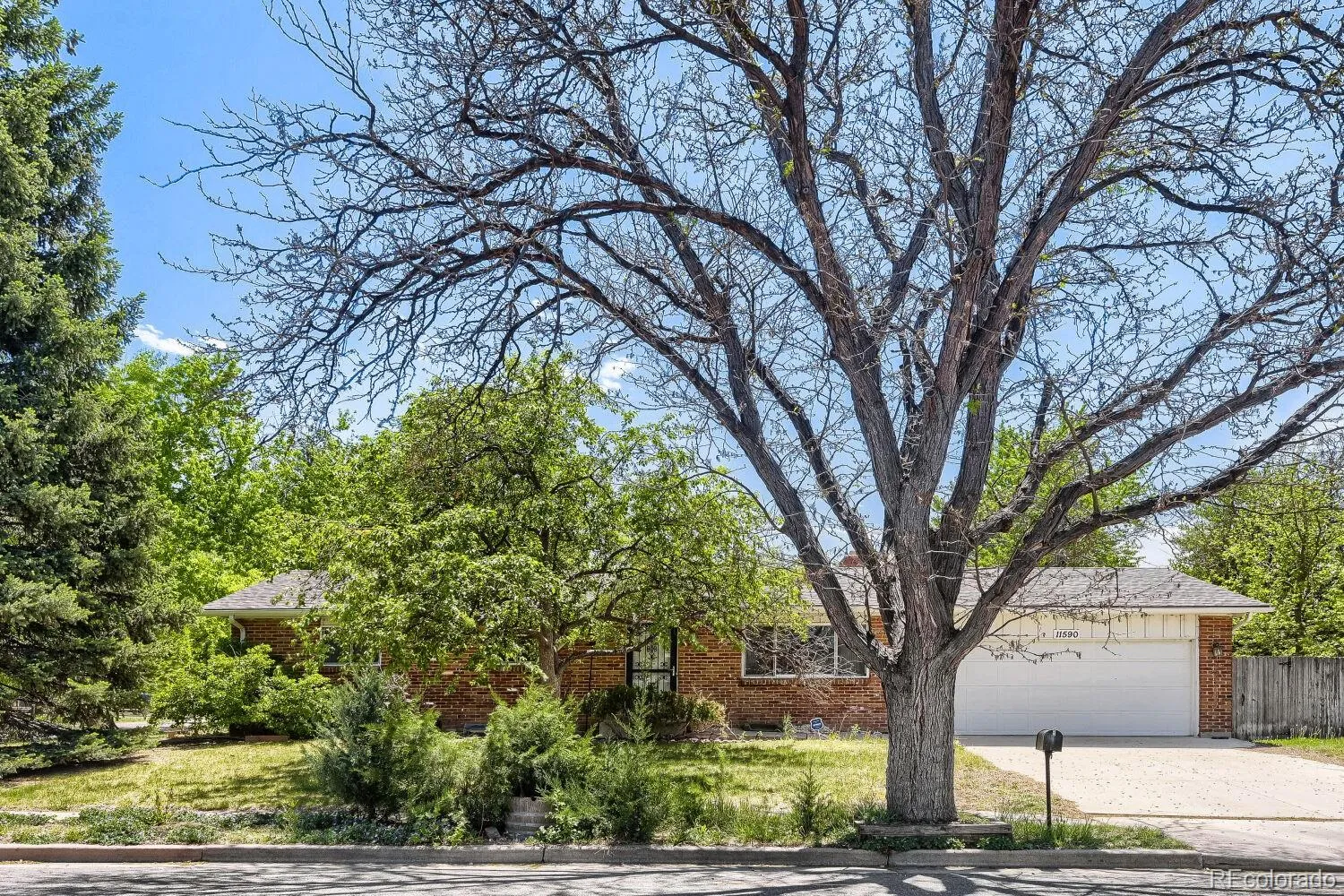 AURORA KNOLLS