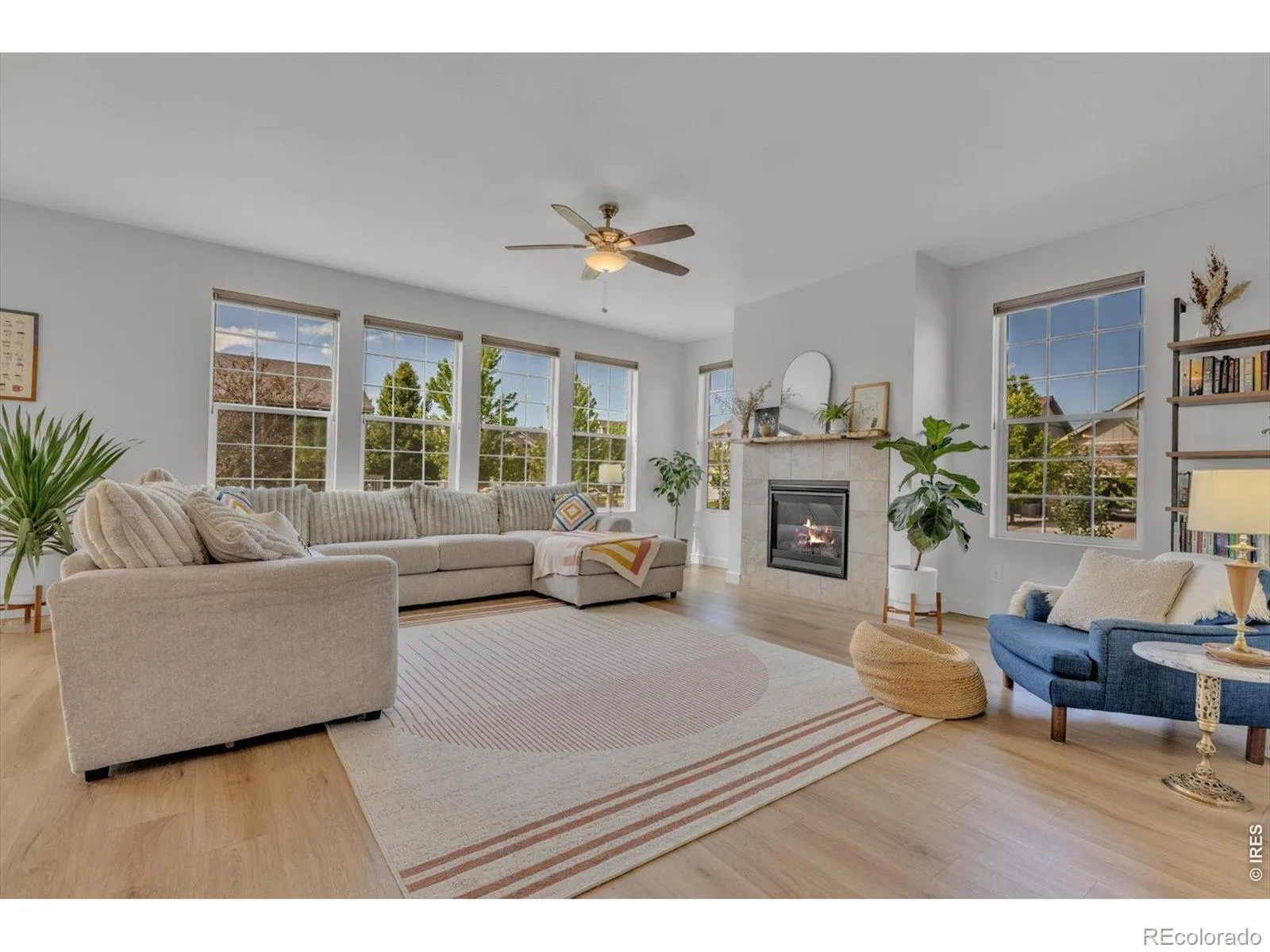 Somerset Meadows Flg 5