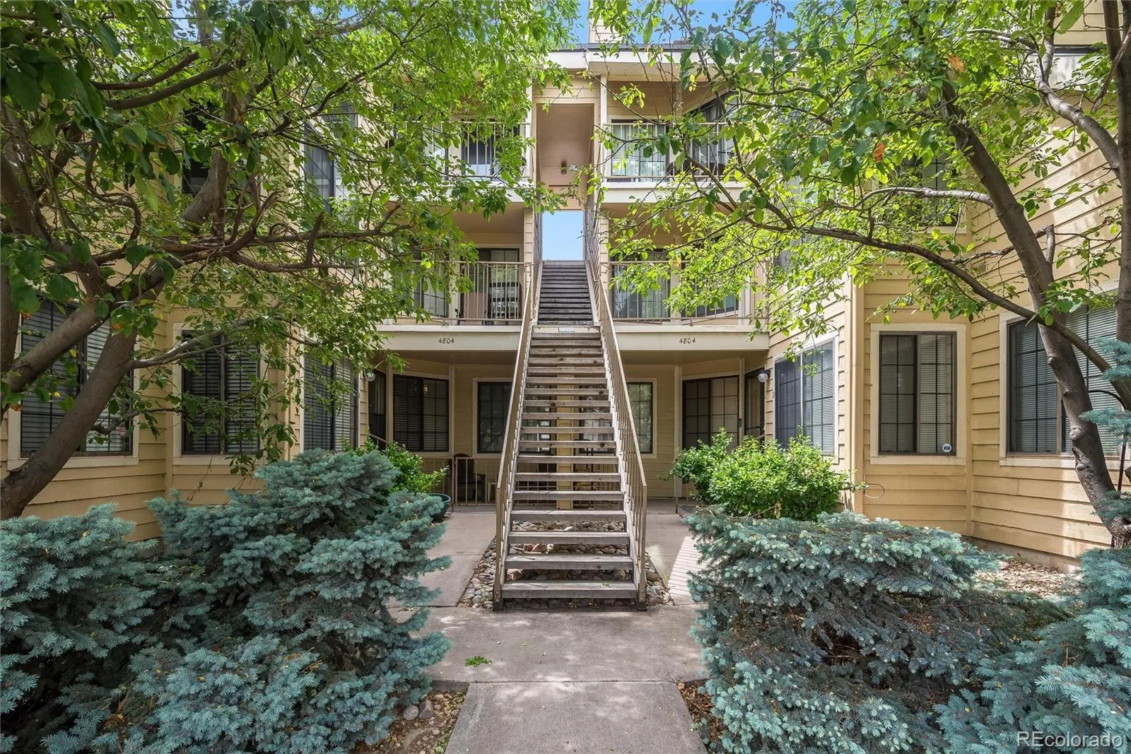 Cedar Pointe
