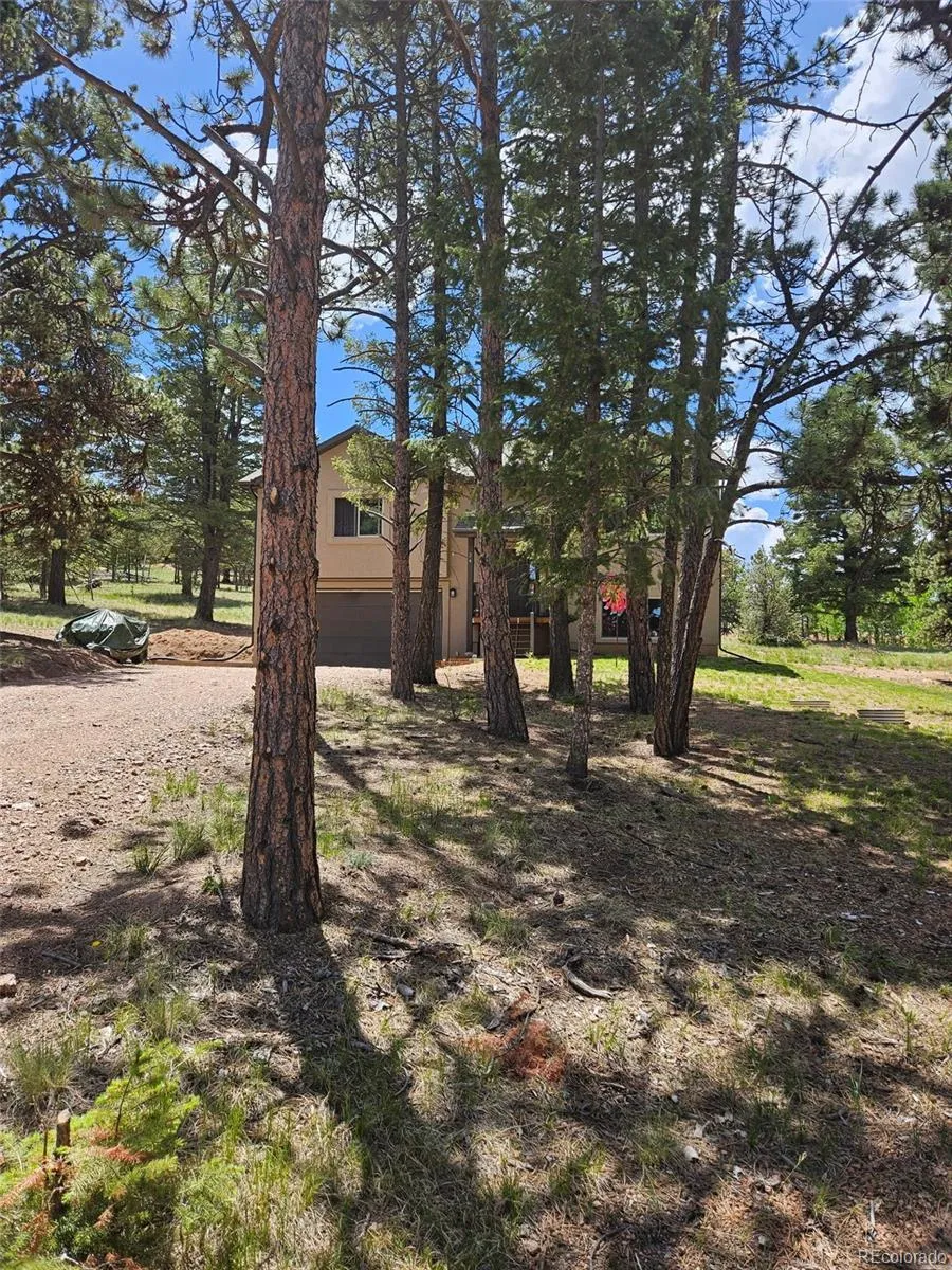 Colorado Mountain Estates