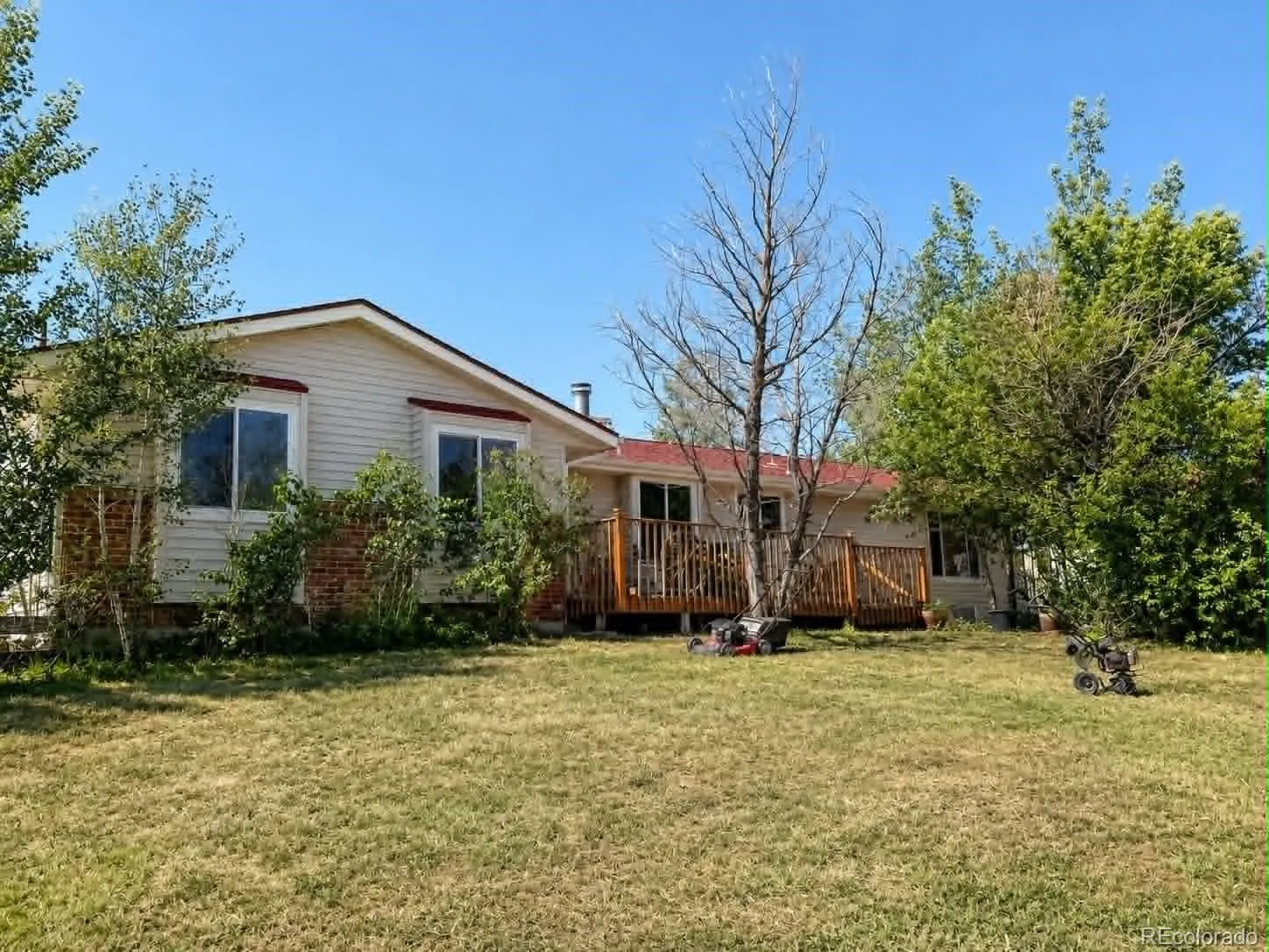 Sun Country Meadows