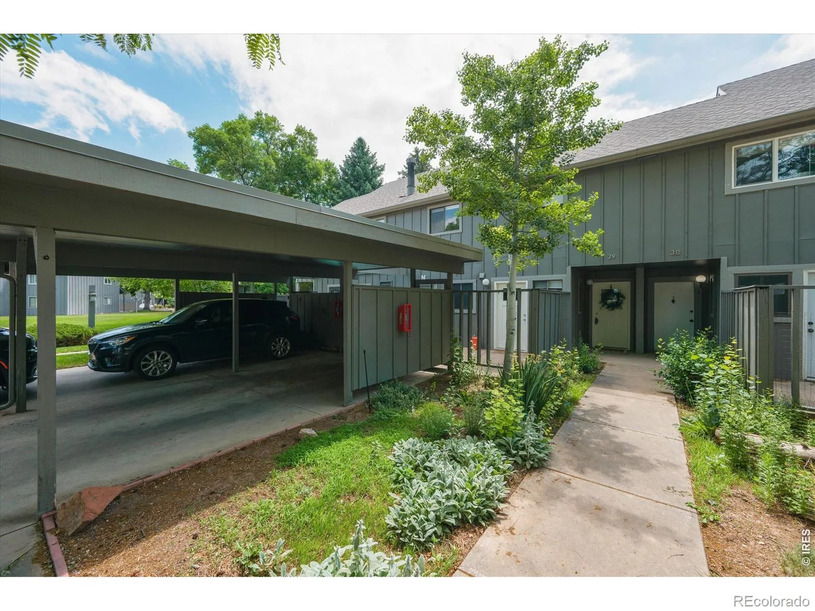 Scotch Pines Condo