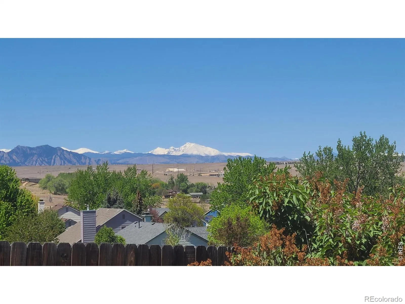 Countryside Flg #10