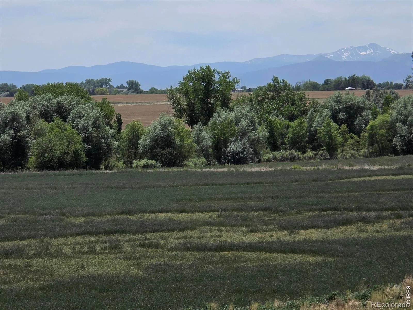 Berthoud Rural