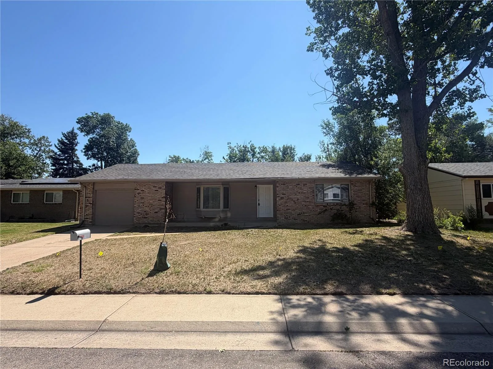Aurora Knolls