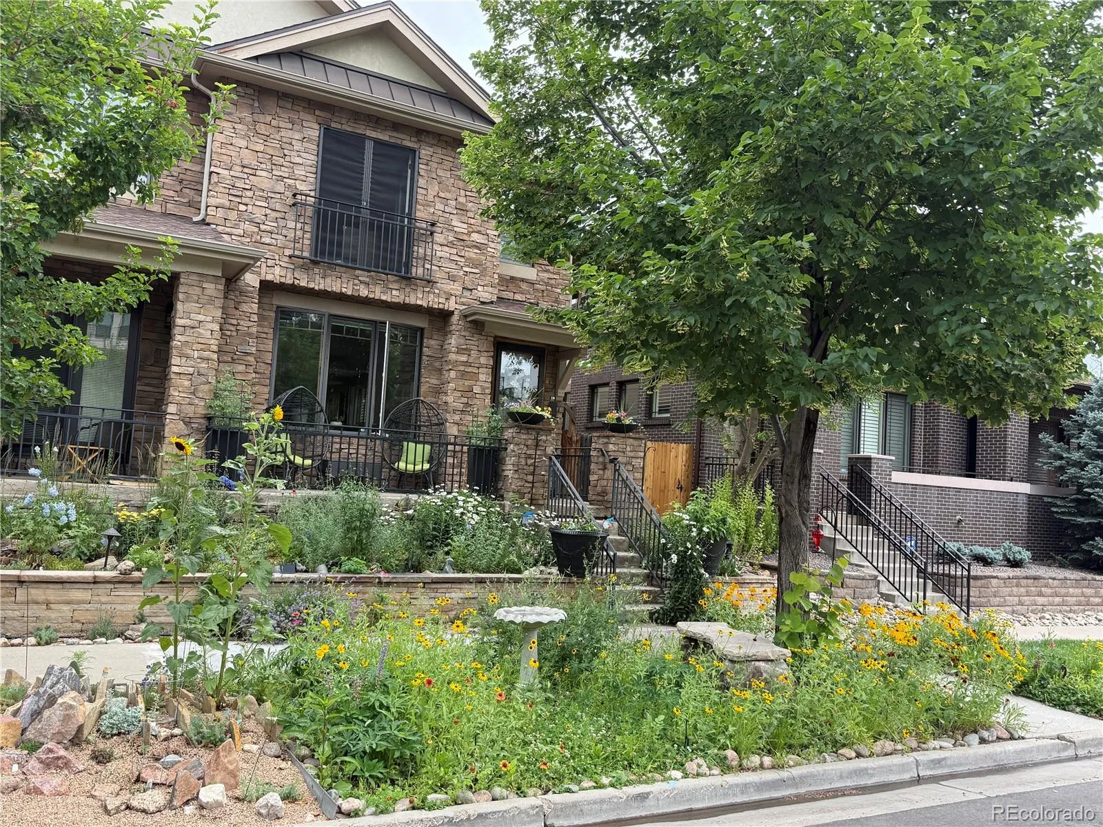 Cherry Creek