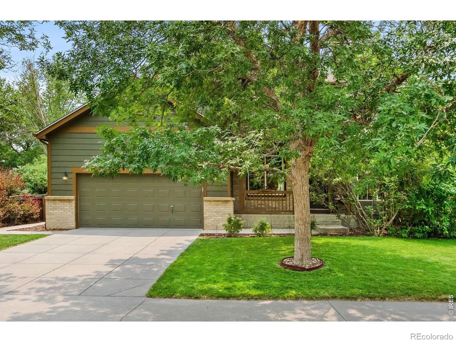 Dodd Estates 1