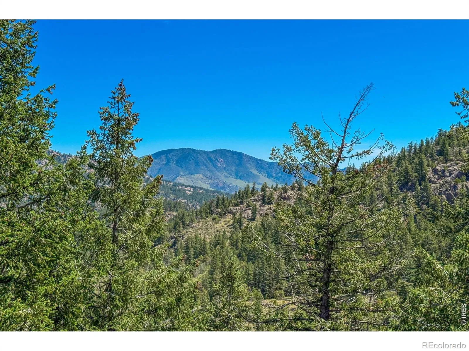 Estes Park Estates