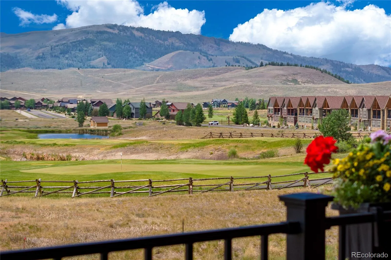 Grand Elk