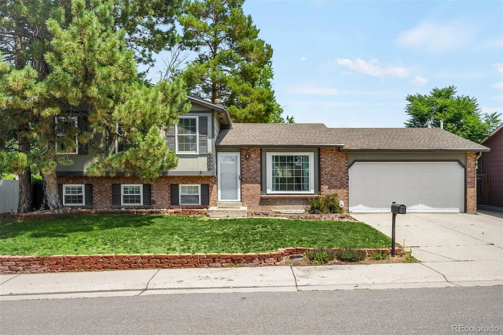 Aurora Knolls