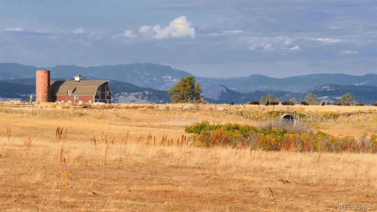 Amber Ridge
