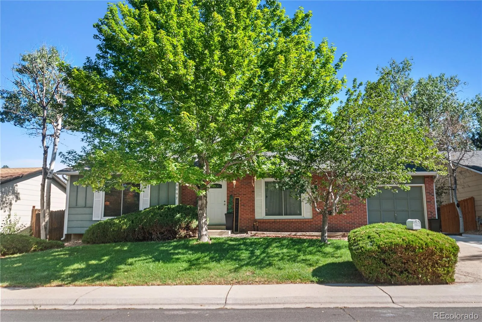 Aurora Knolls